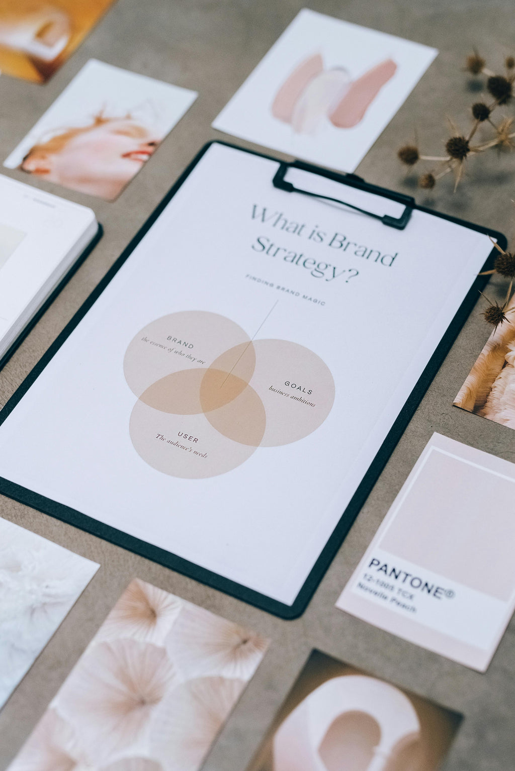 Manual de Marca Básico