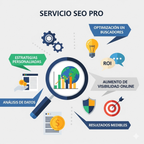 Plan SEO Pro